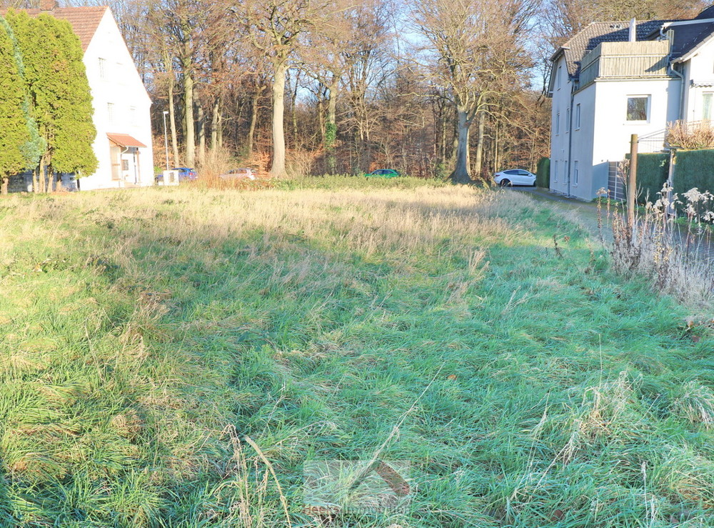 Blickrichtung Osten