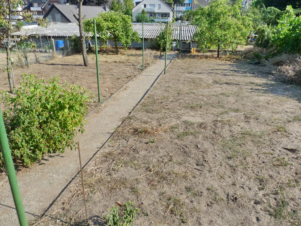 Gartenfläche